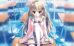 banner (7).webp