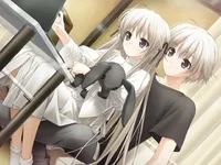 banner (8).webp banner (8).webp