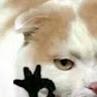 F s